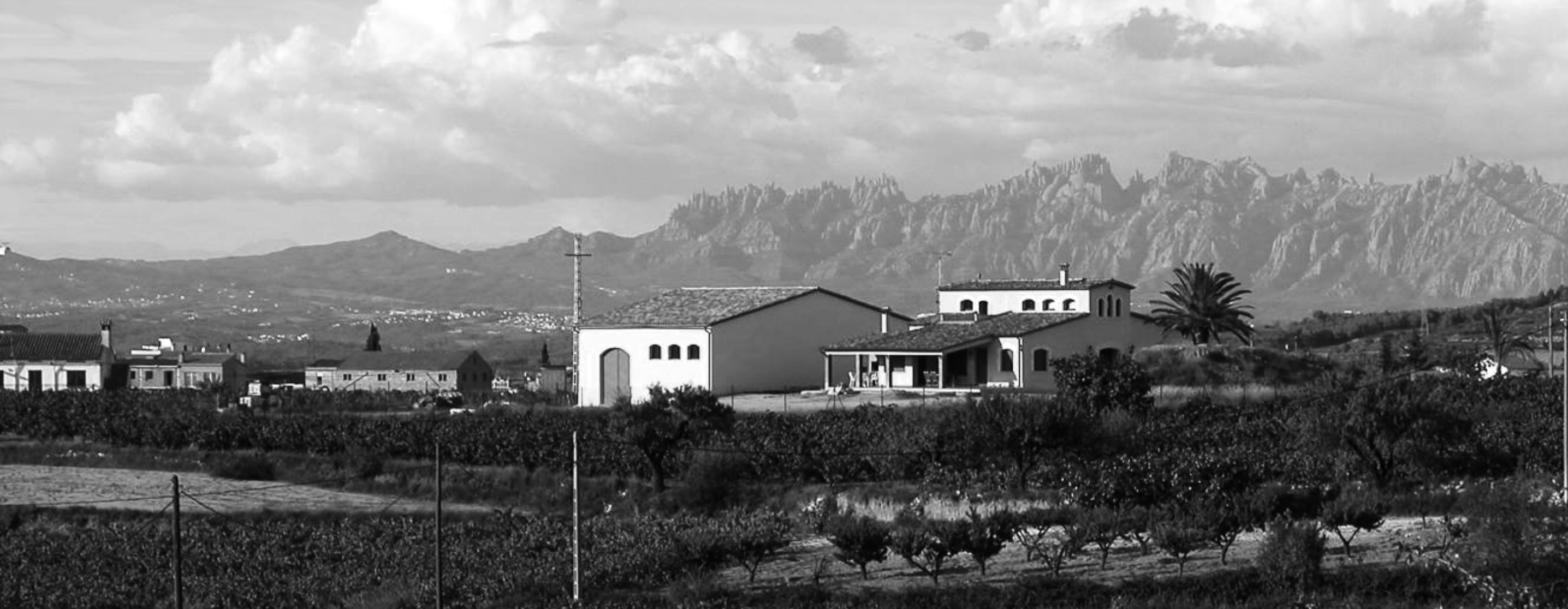 Bodegas_Mas_Candi